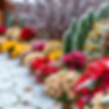 A beautifully arranged winter garden with vibrant colors